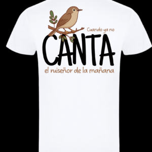 MANOLO GARCIA - PAJAROS DE BARRO